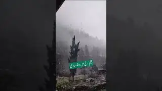 Snowfall in Neelam Valley, Pakistan! ❄️🌨️