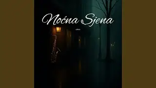 Noćna Sjena