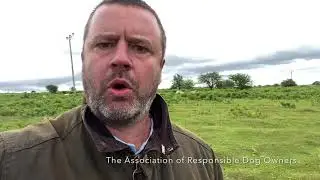 Electronic collars and stopping dogs from chasing sheep.