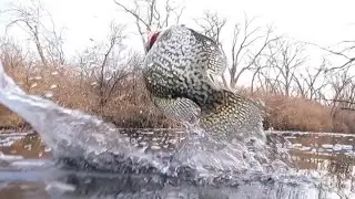 Crappie King of Chicago Kayak Crappie Fishing the Chicago River GeoFishing Tips For Catching Crappie