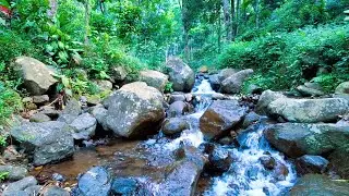 Gentle River Sounds for Evening Meditation