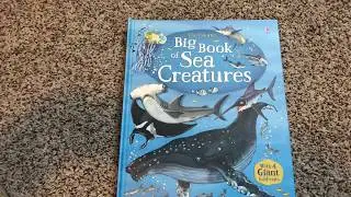 The Big Book of Sea Creatures 🐳🦈 Usborne Books & More