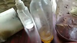 Cura del espanto 