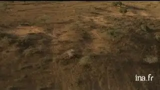 S&eacute;n&eacute;gal : agriculture en zone semi-aride