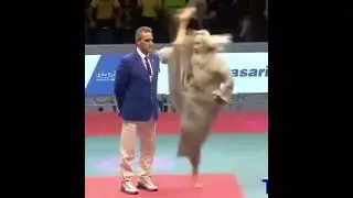 The Legendary Grandmaster Kang. O Lend&aacute;rio  Gr&atilde;o Mestre Kang do Taekwondo. #taekwondo #masterkang