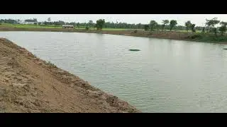 Royal fish club. Best fishing spot in bengal#
