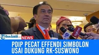 PDIP Pecat Effendi Simbolon Usai Dukung Ridwan Kamil-Suswono Di Pilgub DKI