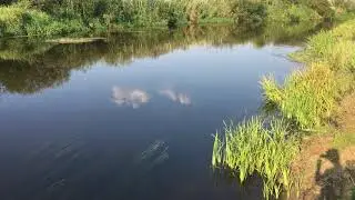 Biebrza river, National Park, Podlaskie, Poland