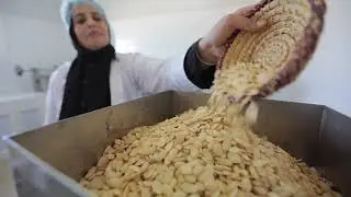 La biodiversité de la Région de Souss Massa