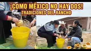 COMO MEXICO NO AY DOS ESTO ES LO QUE ESTRAÑAMOS Y HOY ESTAMOS DESEMILLANDO CALABAZA