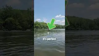 Лучшая оснастка для ловли сома в реках: плоскоголовый, синий и канальный сом: FATKAT &mdash; лучшая осн...