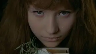 The Secret Light - Mirror Mirror (Sub. Español)