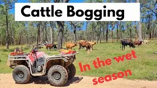 Wet Season Problems