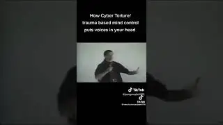 Cybertorture Targeted Individuals