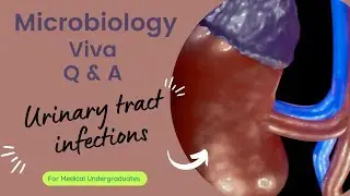 UTI | Microbiology viva for medical undergraduates | questions and answers | urinary tract infection