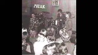 Mesk  -  Ni Fattar Ingenting  (1980-81)