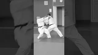 Shomen iriminage ichi in tanto dori jiyuwaza #Shorts #kiyokan #aikidoforfun #knife #aikido #jiyuwaza
