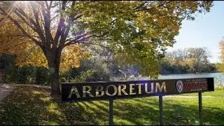 University Of Wisconsin-Madison Arboretum