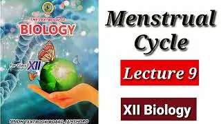 Menstrual Cycle (Lecture 9)