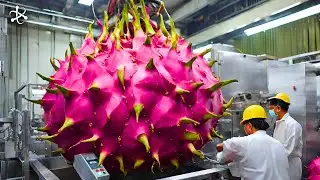 Advanced Food Tech & Food Processing Machines Operating Like Magic - 010