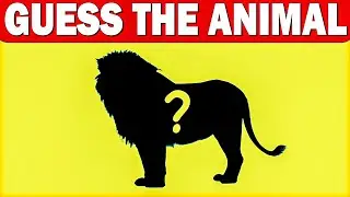 Can You Name All These Animals? Hardest Zoo Quiz Ever!