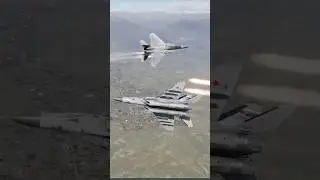 Russian Mig29 gets schooled by American F-15C #dcs #dcsworld #aviation