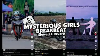 DJ MISTERIUS GIRLS BREAKBEAT (Slowed + Reverb)