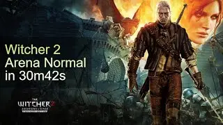 WR Witcher 2 Arena Normal in 30m42s Speedrun