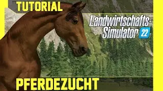 LS 22 Pferdezucht Tutorial: Kurz, einfach und verst&auml;ndlich erkl&auml;rt