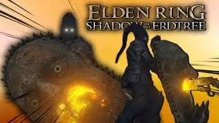 Visage Shield Trolling | Elden Ring(w/Mails)