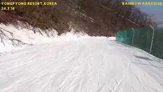 3,16,용평리조트,Yongpyong Ski Resort,龍平スキー場,2024