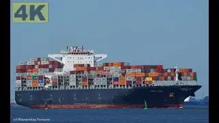 MAERSK GENOA - Shipspotting Germany 🇩🇪 IMO 9739680 - River Elbe near City Otterndorf - 4K VIDEO