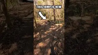🚨Trail Update🚨 New Fox Run | #mtb #bike #newtrail #trail #update