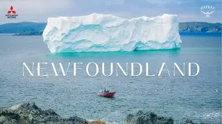 Chasing Icebergs: A Newfoundland & Labrador Road Trip