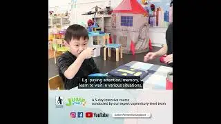 Autism Partnership Method APM Intensive Specialised Treatment ABA Therapy Program for Rapid Progress