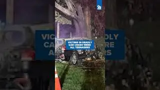 Victims in deadly car crash were all teenagers