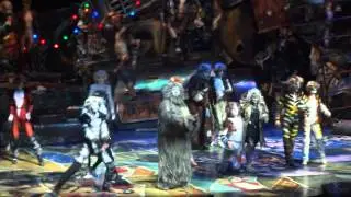 Cats - Finale