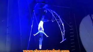 Circus Stardust Agency Presents: Aerial Perch (Circus Act 01270)