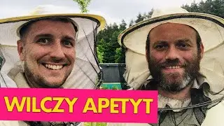 Skąd bierze się mi&oacute;d?