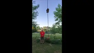 Homesteading Hints | The Benefits of Bats in the Garden