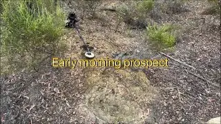 Battling the heat to find Victorian gold ￼