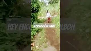 el silb&oacute;n en la vida real