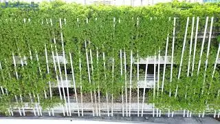Jakob USA: Bentley Bay, Webnet Trellis, Miami Beach, Florida