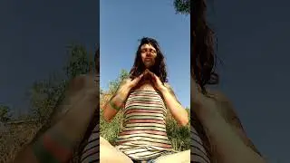 Onda Encantada del Mago - Holón Humano 