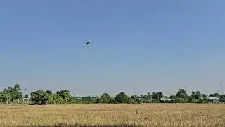 Alzrc devil 505 test flight