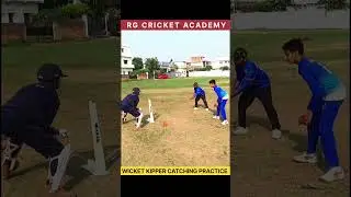 Wicket Keeper Catching Practice 💥🏏🎯 #rgcricketacademy #catchingpractice