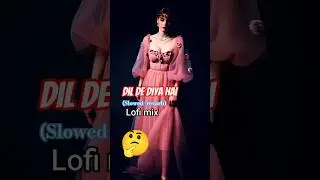 Dil De Diya Hai (Slowed + Reverb) | 90s Lofi Mix | Anand raj anand Evergreen Hindi Song #enjoy_vid