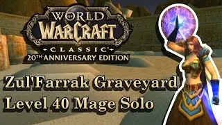 MAGE LEVEL 40 SOLO ZF NO MOUNT NO POTION 40K+ EXP | WOW CLASSIC ANNIVERSARY
