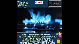GAS Leak #didyouknow #gas #odorless #smelly#rottenplaces #odor  #householditems  #gasleak  #safety