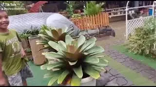 chers.... #tempatmakan #tempatwisata #keluarga #ikanterapi #kolamrenang